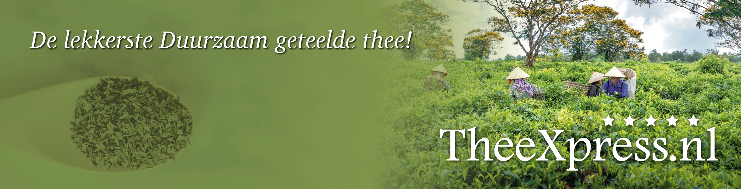 Duurzaam geteelde thee Duurzaam geteelde thee